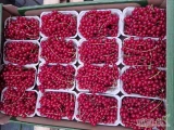 Sprzedam porzeczkę czerwoną deserową, opakowania 125g , 250g, 500g, - hurtowe ilości. 