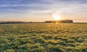 Elastyczne nawożenie wiosenne - zmiany w programie azotanowym