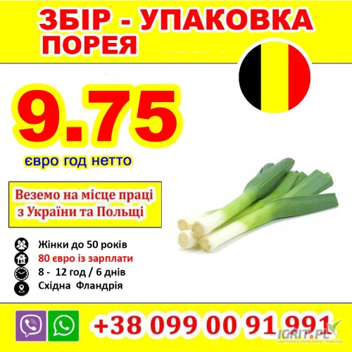 /images/posts/2025/04/2004435/qokPiKsUCxoJF5QQ2YjmfszfiSBBL4YFdMlxk9RV.jpeg