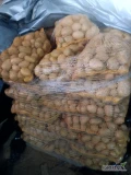 Sprzedam ziemniaka bernine pakowanego po 15 kg kaliber 45+.Cenna za worek 3zl możliwy transport