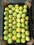 Sprzedam jabłka odmiany Golden 65-70mm z KA  na gotowo w kartonie 13 kg netto.Adam 