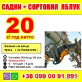 20  злт год      #СОРТІВНЯ    #ЯБЛУК