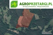 Przetarg na dzierżawę 18,88 ha gruntu rolnego na czas nieokreślony – RIIIb, RIVa, RV, RVI, ŁIV, ŁV, ŁVI, PsIV, PsV, PsVI