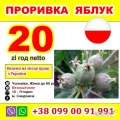 praca przy jabkach na teras Viber  +38 099 00 91 991