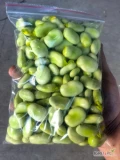Sprzedam bób, wychłodzony w strąkach, pakowany po 0,5 kg. Łuskany na bieżąco pod klienta, możliwa stała współpraca, cena do...