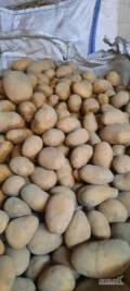 Sprzedam ziemniaka jadalnego BB, worek