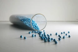 Czy uprawa rzepaku może być opłacalna?