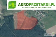 Przetarg na dzierżawę 89,66 ha gruntu rolnego (częściowo na 1 i 3 lata) – RIIIb, RIVa, RIVb, RV, RVI, ŁIV, ŁV, PsV, W-ŁIV, Lzr-RV,...