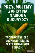 ZAPISY NA NASIONA KUKURYDZY ROZPOCZĘTE!