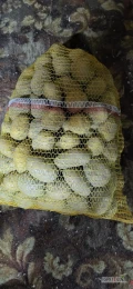 Witam, sprzedam ziemniaki jadalne odmiany denar pakowane w worki po 15kg.