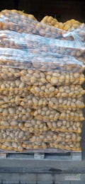 Sprzedam 700 worków ziemniaków żółtych, odmiana soraya, z jasnej ziemi. Towar lux.