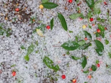 Wnioski o wsparcie klęskowe jeszcze tylko dzisiaj