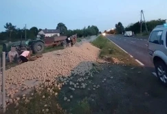 Ziemniaki wysypały się do rowu