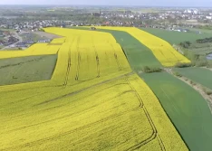 Rekomendacja – główny czynnik podejmowania decyzji
