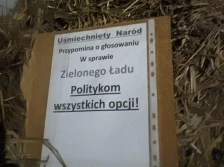 Kto zostawił obornik z ,,listem'' do polityków?