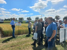 DANKO Hodowla Roślin przedstawia najlepsze odmiany na nowy sezon