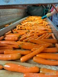 Witam sprzedam marchew myta, kaliber handlowy, worek szyty, lub big bag.  