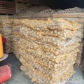 Ziemniaki Sorayaz jasnej ziemi kaliber do ustalenia możliwość spakowania w worki szyte wiązane big bag lub luzem na tą  chwilę...