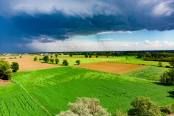 Co uprawiają sąsiedzi z twojej gminy?
