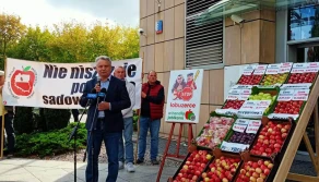 Jabłka po 4 złote? - połowa dla sadownika, a reszta...