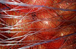 5 powodów, aby stosować siatki z niebieską nitką