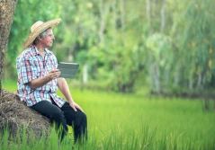 Sejm już uchwalił: rolnik emeryt może pracować...