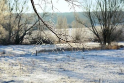 W weekend może sypnąć śniegiem