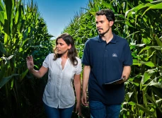 Polscy rolnicy będą mogli korzystać  z nowych odmian kukurydzy i słonecznika marki Pioneer® wprowadzonych przez Corteva Agriscience w sezonie 2023