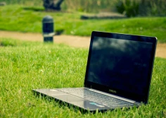 Formalności związane z pomocnikiem rolnika - także przez Internet