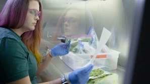 Innowacje kluczem do bardziej zrównoważonego rolnictwa