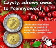 Zadbaj o #cennyowoc. Ruszyła kampania dla producentów upraw sadowniczych