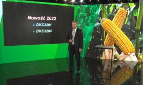 Bayer zaprezentował dwie nowe odmiany kukurydzy