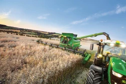 KZPRiRB: Rzepak trzyma cenę