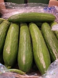Ogórek 5kg szklarniowy 16-18 cm Turcja- świeża dostawa Katowice