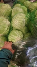 Sprzedam biala kapuste od 1 do 3 kg zdrowa beż oznak wciornastka worek 20 kg 