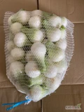 Sprzedam cebulę młodą pakowana po 5 kg 
