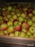 Sprzedam jabłko odmiany Ligol za wagę w skrzyni, około 90 skrzyń 