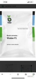 Nasiona buraczka czerwonego WODAN F1