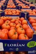 Pomidor 6kg Belgia - dostępny od 24.03.2025r. - świeża dostawa