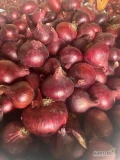 Sprzedam cebulę czerwoną 50-80 kaliber 