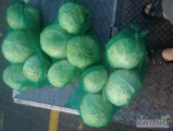 Sprzedam kapustę białą czysta bez robaka i chorób gruba 3-8kg obraną na biało opakowanie dowolne najlepiej big bag karton box...