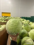 Sprzedam kapustę biała market 