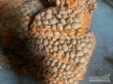 Sprzedam ziemniaki odpadowe około 2 000 kg w workach po 30 kg