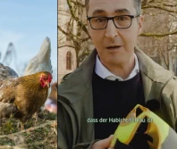 Niemiecki minister rolnictwa: kamizelki odblaskowe dla kur!