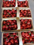 Sprzedam 180 koszy truskawki Aprica 