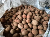 Sprzedam ziemniaki jadalne czerwone żółte w środku 45+. Oraz ziemniaki jadalne  żółte 45 + 