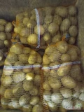 Sprzedam ziemniaki Arizona kaliber 50 plus ilości tirowe worek 15 kg lub luz lub big bag
