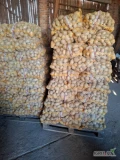 Sprzedam ziemniaki jadalne 500 worków 15 kg kaliber  4.5 +