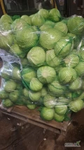 Sprzedam kapuste biala czysta zdrowa bez oznak wciornastka kal 1-2,5kg worek 20 kg bądź opakowanie do ustalenia jednorazowo do 7 ton 