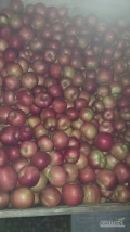 Sprzedam jabłko Najdared w skrzyniopaletach ilość ok 70 szt 